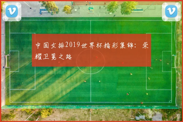 中国女排2019世界杯精彩集锦:荣耀卫冕之路