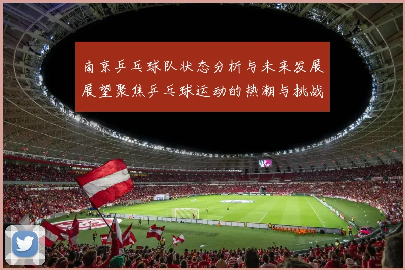 南京乒乓球队状态分析与未来发展展望聚焦乒乓球运动的热潮与挑战