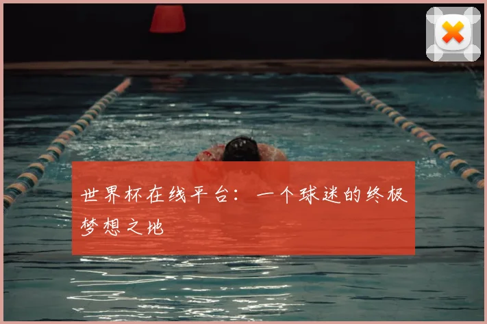 世界杯在线平台：一个球迷的终极梦想之地