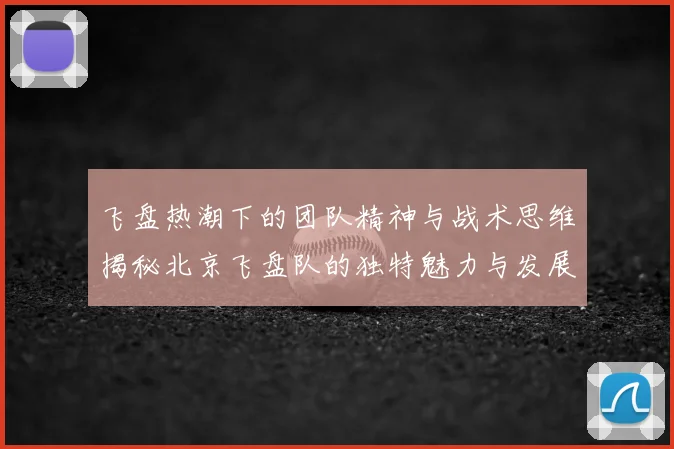 飞盘热潮下的团队精神与战术思维揭秘北京飞盘队的独特魅力与发展之路