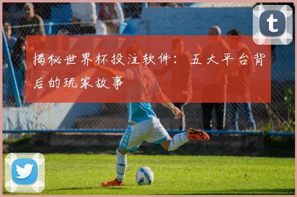 揭秘世界杯投注软件:五大平台背后的玩家故事