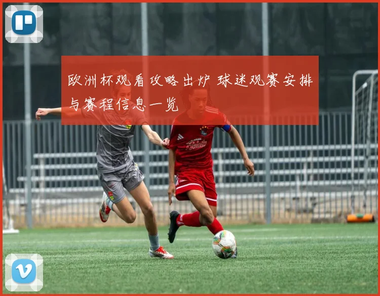 欧洲杯观看攻略出炉 球迷观赛安排与赛程信息一览