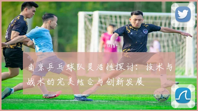 南京乒乓球队灵活性探讨:技术与战术的完美结合与创新发展