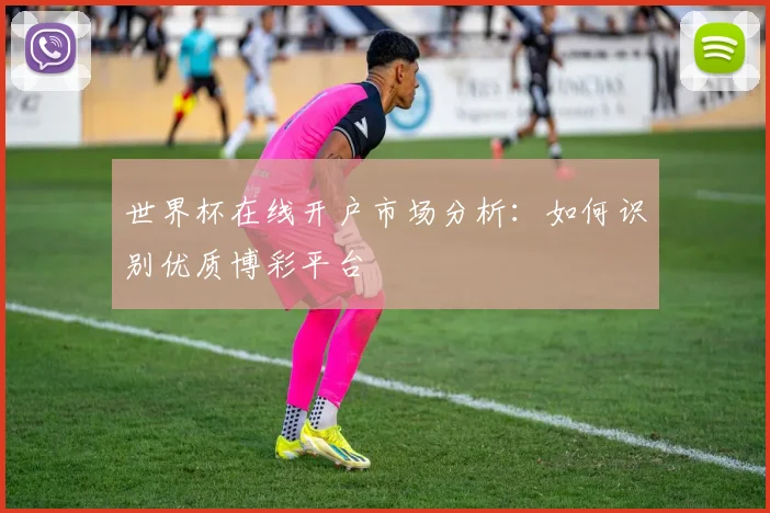 世界杯在线开户市场分析:如何识别优质博彩平台