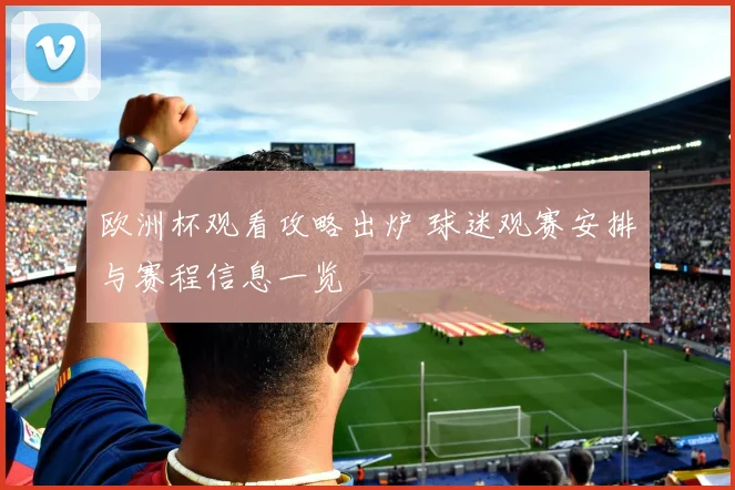 欧洲杯观看攻略出炉 球迷观赛安排与赛程信息一览