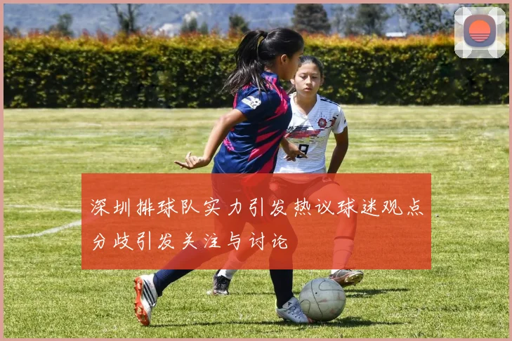 深圳排球队实力引发热议球迷观点分歧引发关注与讨论