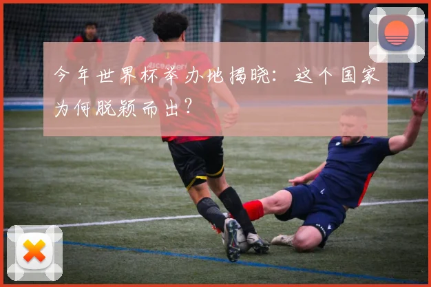 今年世界杯举办地揭晓:这个国家为何脱颖而出?