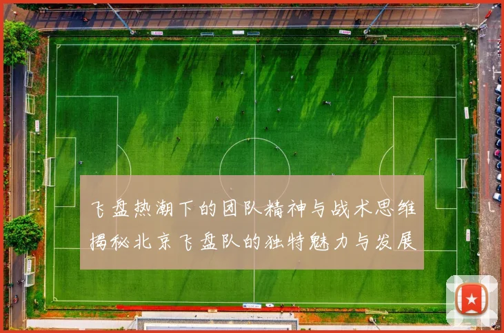 飞盘热潮下的团队精神与战术思维揭秘北京飞盘队的独特魅力与发展之路